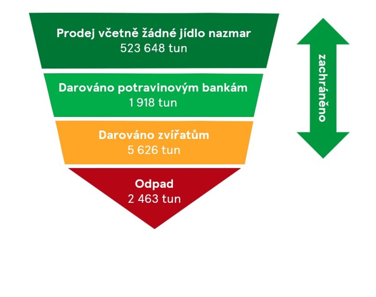 Potravinová pyramida 2024_2025