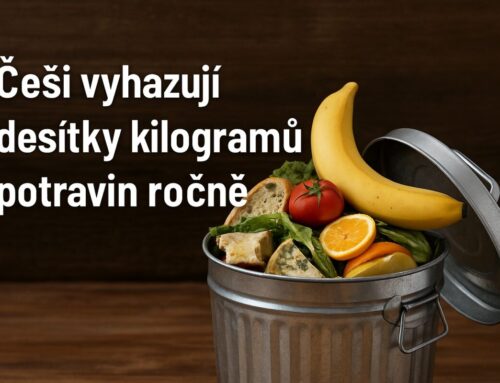 Češi vyhazují desítky kilogramů potravin ročně. EU stanovuje závazné cíle, Česko sází na osvětu