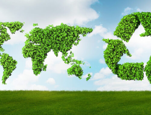 Řízení zásob efektivně: 2D kódy pomáhají omezit plýtvání potravinami